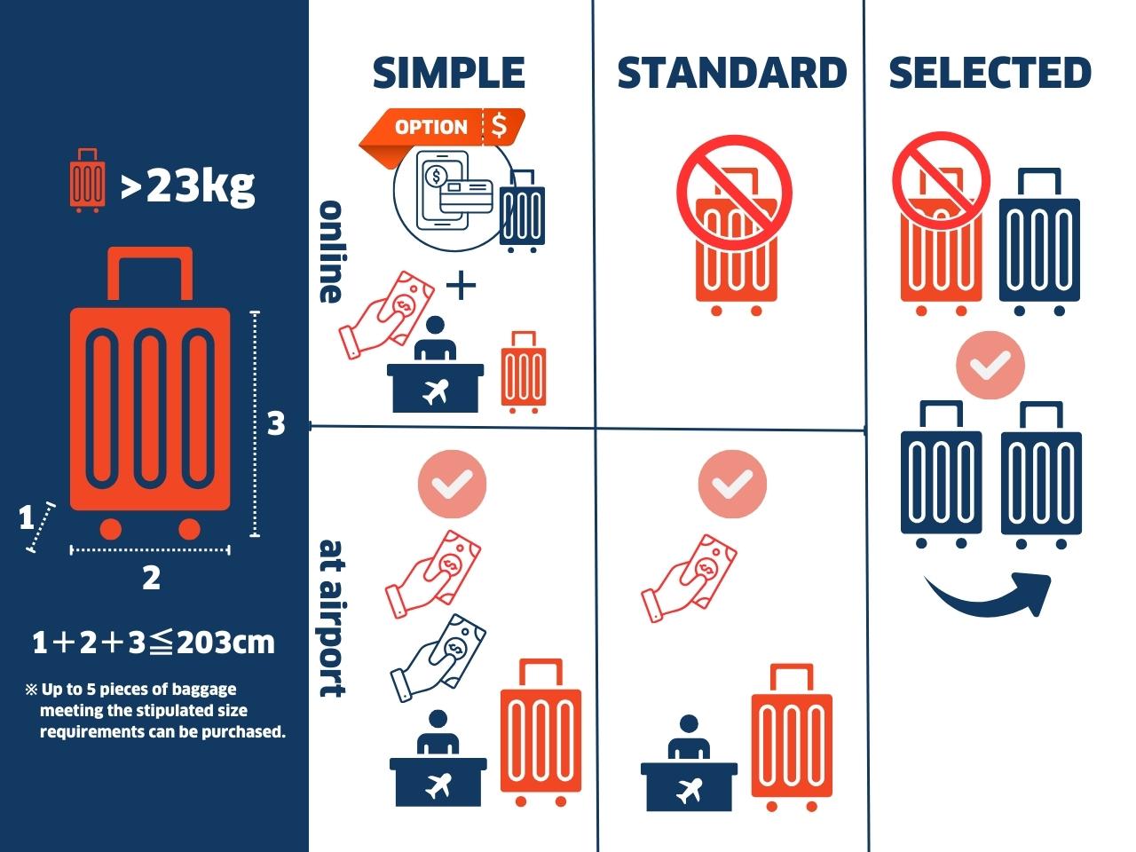 check-in baggage rules
